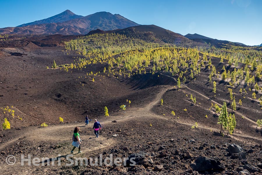 Tenerife, henrienjolanda, Henri Smulders